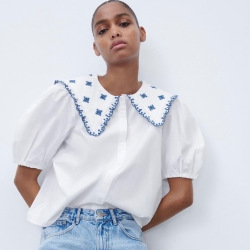 Zara White Crop Top with Blue Embroidery